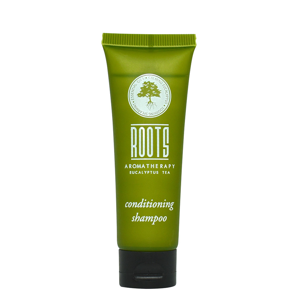 https://www.ahscompany.com/assets/images/hotel%20emporium/roots_cs1.jpg