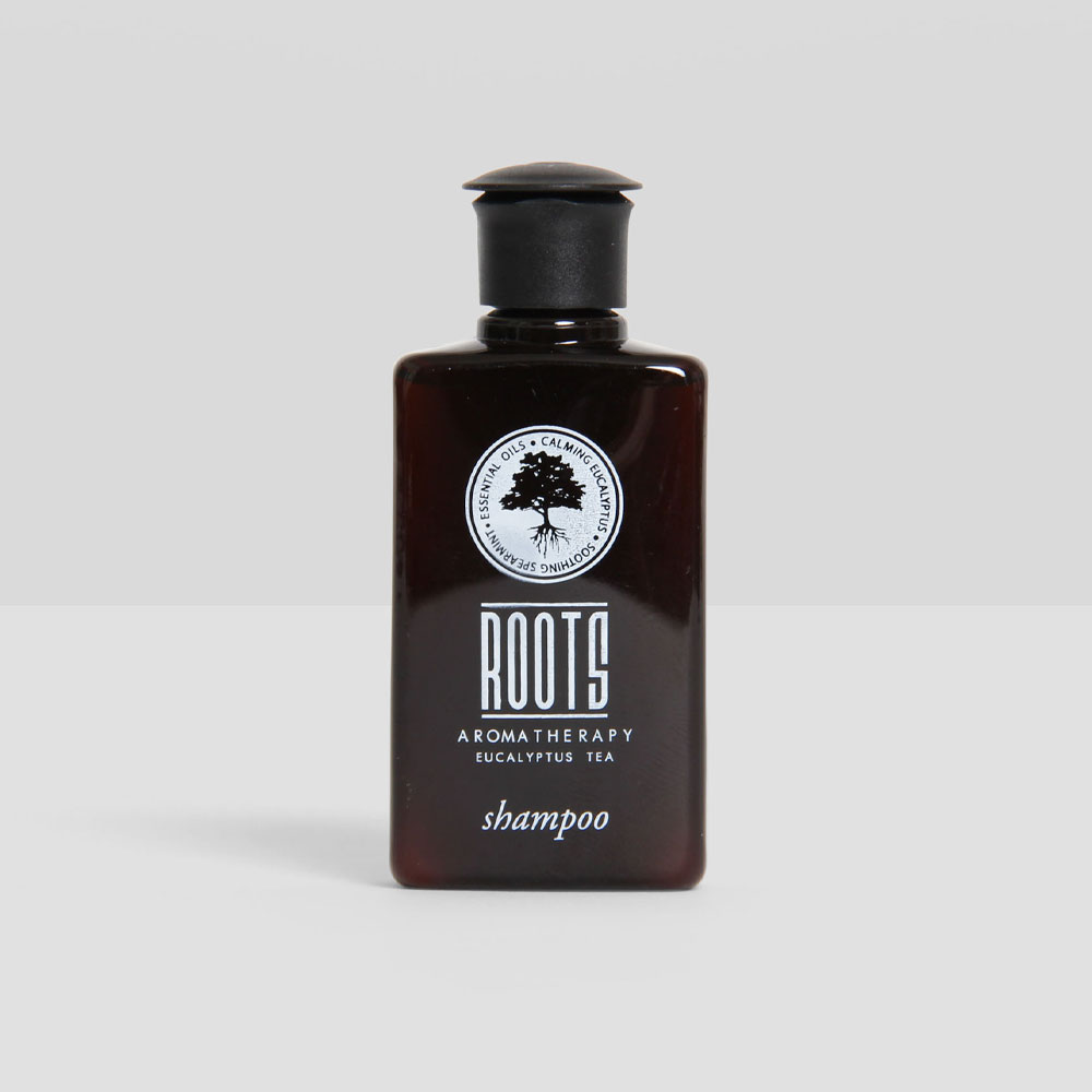 https://www.ahscompany.com/assets/images/hotel%20emporium/he_forthandback_studioedit_050918_131.jpg